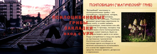 мдпв Тында