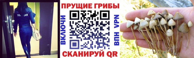 Псилоцибиновые грибы мицелий  Альметьевск 
